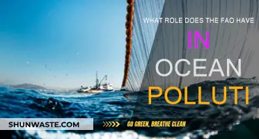 The FAO's Role in Ocean Pollution