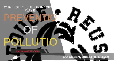 Our Role in Preventing Pollution