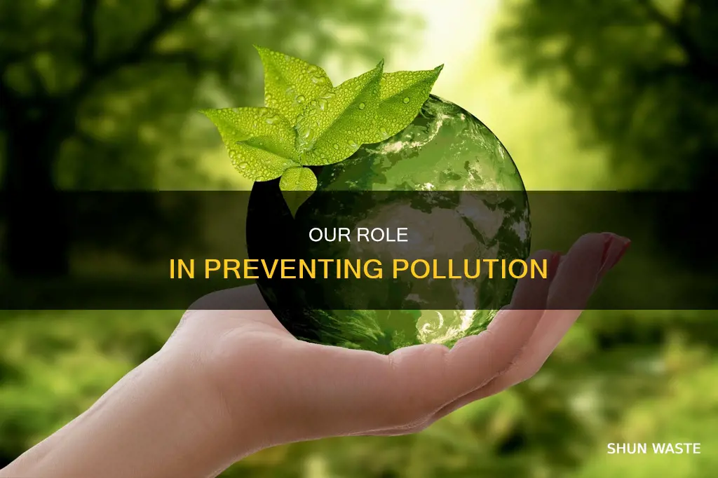 what role should an individual play in prevention of pollution