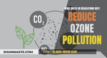 Ozone Pollution: Rules for Cleaner Air