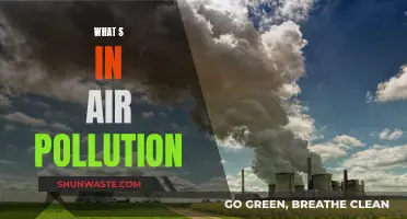 Air Pollution: What's Harming Our Health?