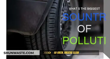 The Biggest Culprit: Pollution's Main Source