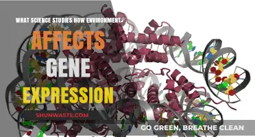 How Environment Shapes Genes: Exploring the Science of Epigenetics