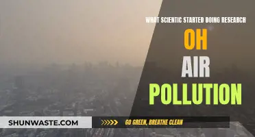 Air Pollution: A Historical Scientific Inquiry