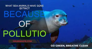 Pollution's Deadly Toll: Extinct Sea Creatures