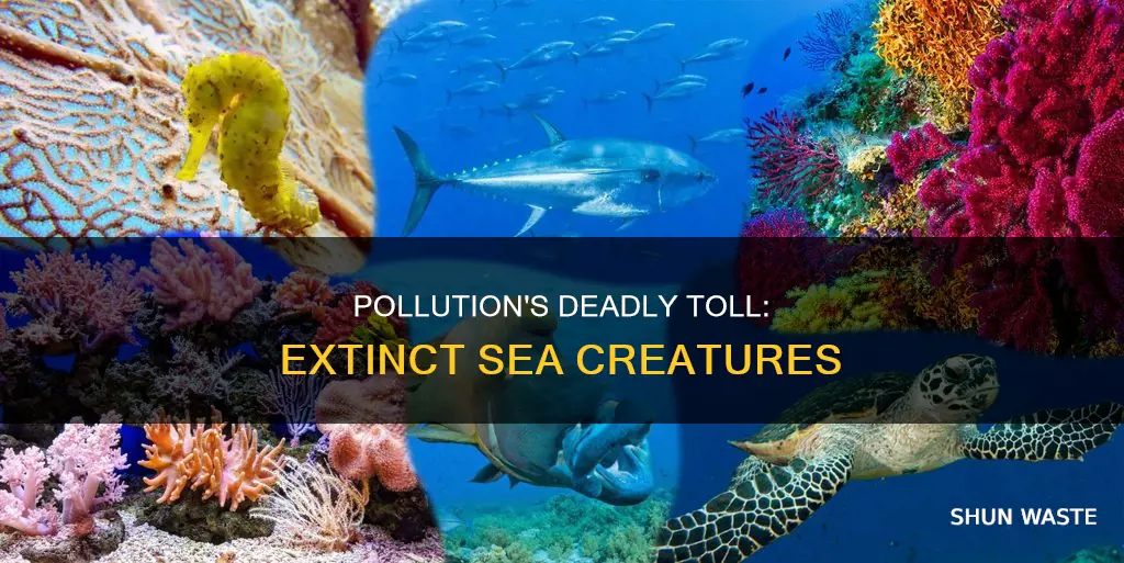 what sea animals have gone extinct because of pollution