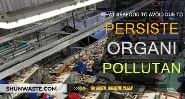 Seafood to Avoid: Persistent Organic Pollutants' Health Risks