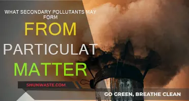 Particulate Matter: Secondary Pollutants and Their Harmful Effects