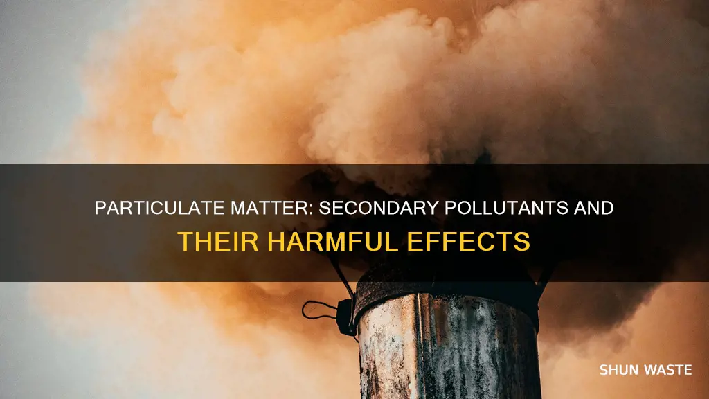 what secondary pollutants may form from particulate matter