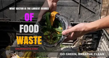Unveiling the Biggest Culprit: Which Sector Tops Food Waste?
