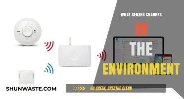 Environmental Sensors: How Organisms Detect and Adapt to Change