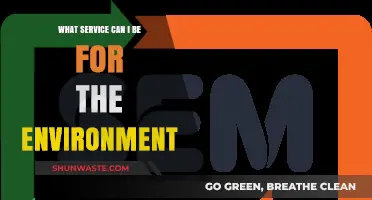 Sustainable Actions: How You Can Serve and Protect the Environment