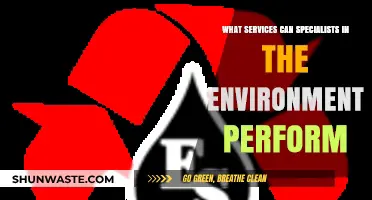 Environmental Specialists: Key Services for Sustainable Solutions and Conservation