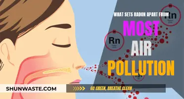 Radon: A Silent, Invisible, and Deadly Air Pollutant