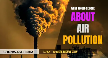 Air Pollution: What Can We Do?