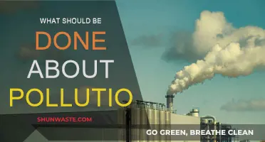 Pollution: Taking Action to Protect Our Planet