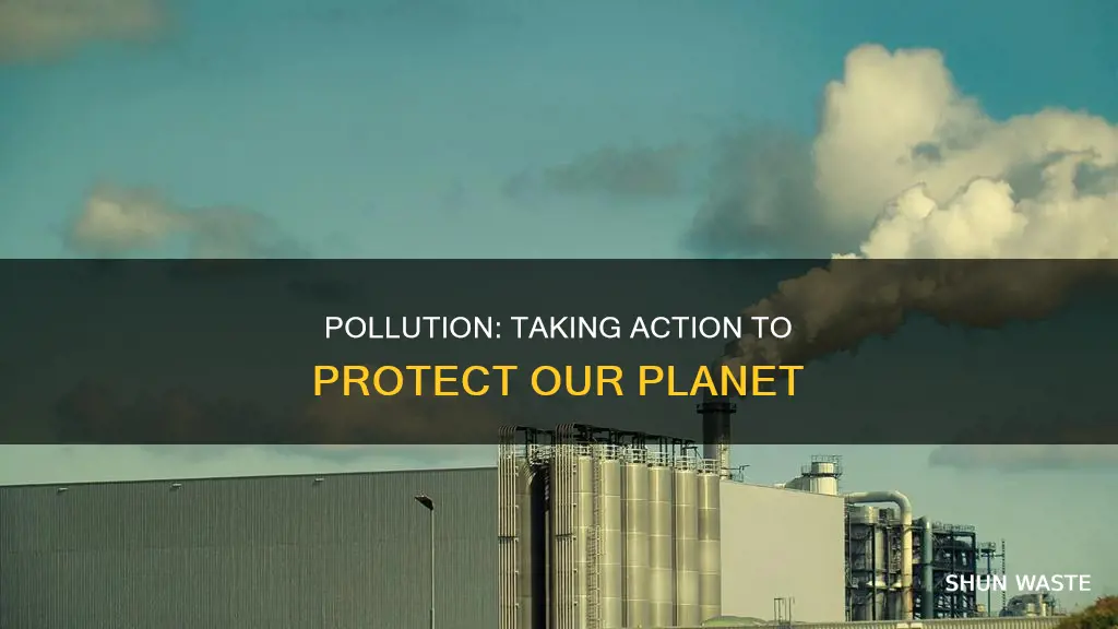 what should be done about pollution