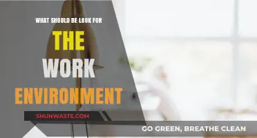 Creating the Ideal Work Environment: Key Factors to Consider