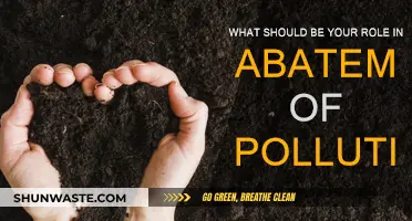Our Role in Pollution Abatement: Every Action Counts