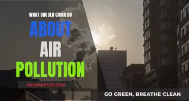 China's Air Pollution: Strategies for Change