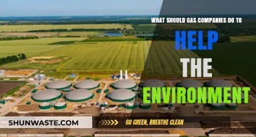 Green Gas: How Companies Can Fuel a Sustainable Future