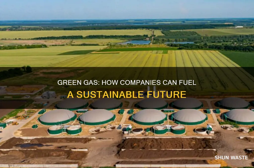 what should gas companies do to help the environment