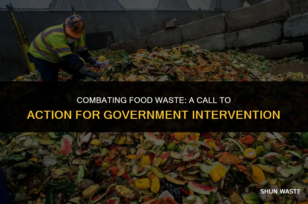what should goverment do to stop waste food in america