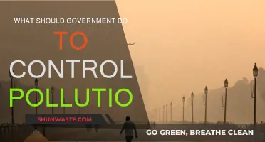 Strategies for Governments to Combat Pollution
