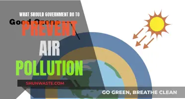 Strategies for Governments to Combat Air Pollution