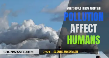 Air Pollution: Understanding Its Impact on Human Health