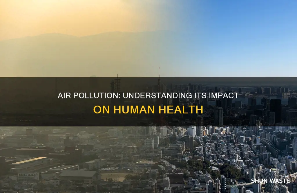 what should i know about air pollution affect humans