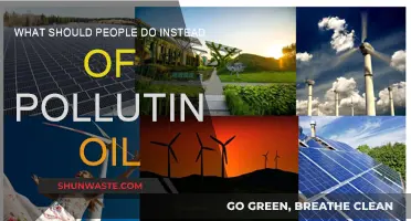 Green Alternatives to Oil: A Sustainable Future