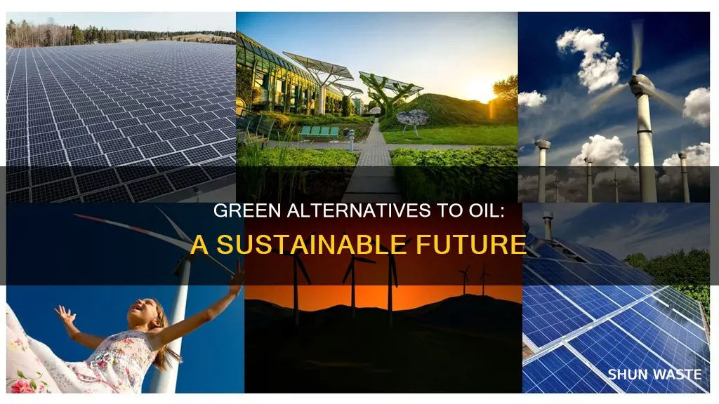 what should people do instead of polluting oil