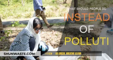Protecting Nature: Simple Steps to Reduce Pollution