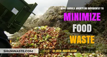 Rethinking Our Approach: Innovative Strategies to Combat Food Waste