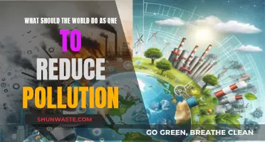 Uniting to Reduce Pollution: Global Action Needed