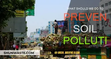Preventing Soil Pollution: Strategies for a Sustainable Future