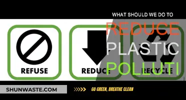 Reducing Plastic Pollution: Steps to Take Today