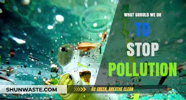 Act Now: Simple Steps to Stop Pollution