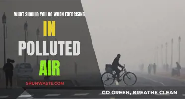 Exercising in Polluted Air? Here's What You Should Do