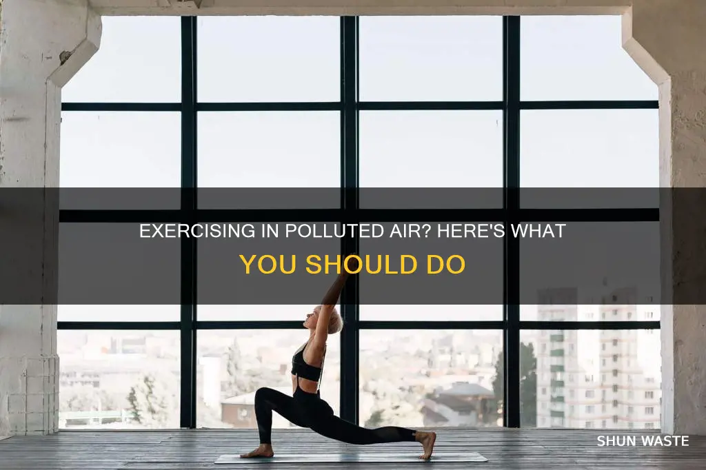 what should you do when exercising in polluted air