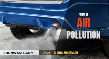 Air Pollution: Understanding the Toxic Air We Breathe