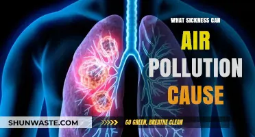 Unveiling the Health Hazards: Air Pollution's Impact on Your Well-being