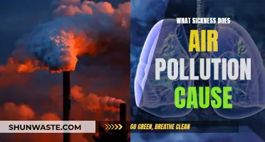 Unveiling the Health Hazards: Air Pollution's Impact on Human Sickness