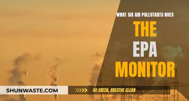 EPA's Air Quality Monitoring: Six Key Pollutants