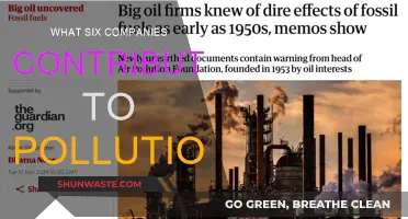 Pollution's Big Six: Who's Hurting Our Planet the Most?