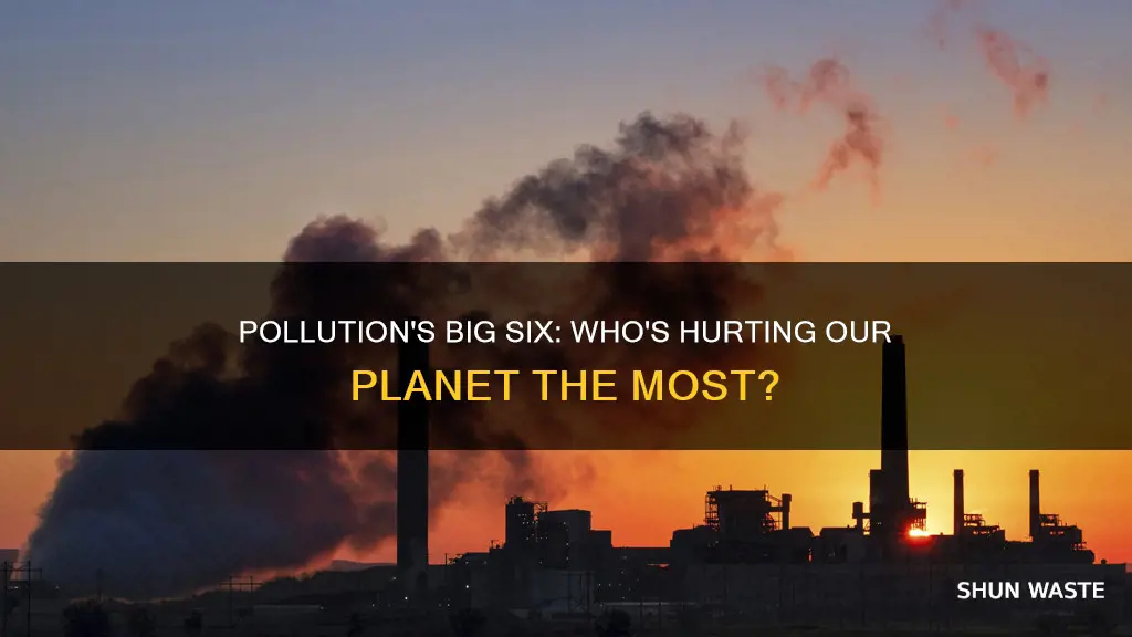 what six companies contribute to pollution
