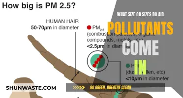 Air Pollutants: Understanding Size and Sources