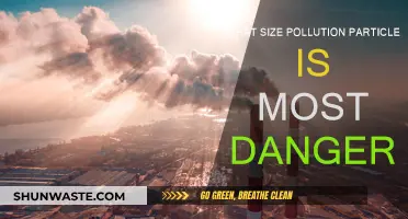 Danger in the Air: Tiny Particles, Big Risks
