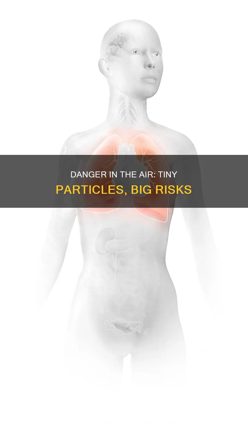 what size pollution particle is most dangerous
